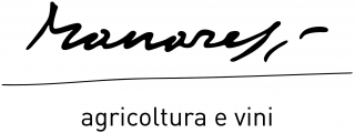 logo manaresi
